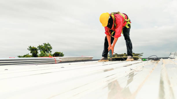 Best Roof Ventilation Installation  in Del Monte Forest, CA
